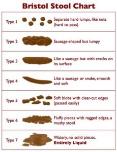 bristol stool chart