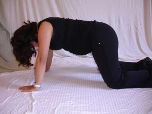 Quadruped pelvic tilts