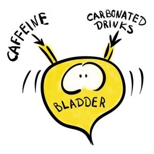 caroon drawing of bladder