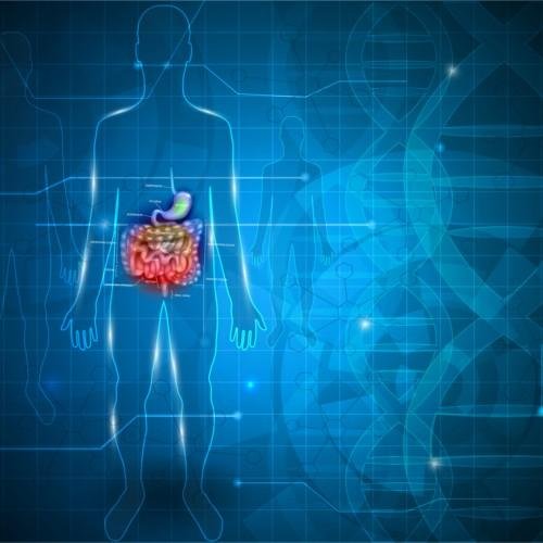 Chronic Constipation 101