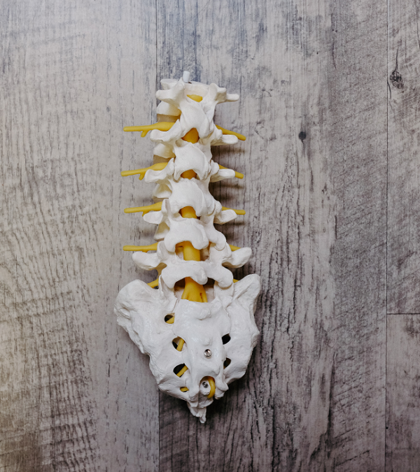 All About: Tarlov Cyst